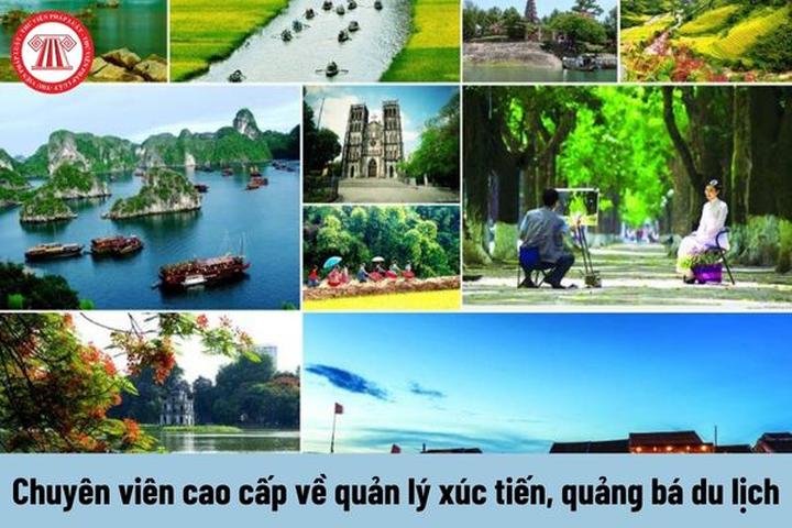 5 kiểu áo dễ