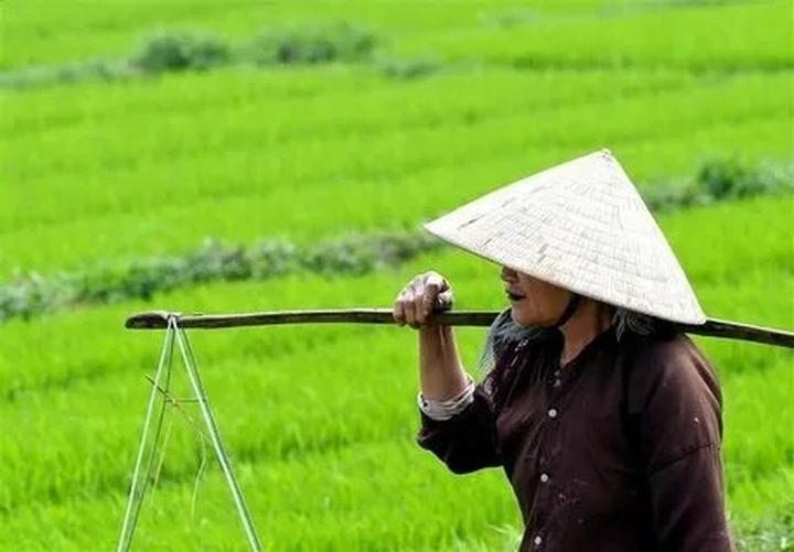 Hotspot Matrix và Chuyển đổi số – chuyên ngành học của tương lai vừa “đổ bộ” Trường Đại